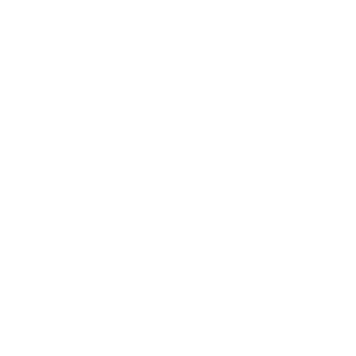 MagnetForensics